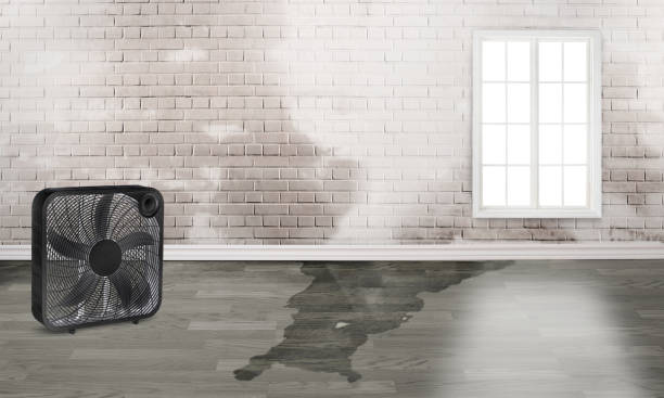 Best Sewage cleanup and water damage restoration  in Ocean View, DE