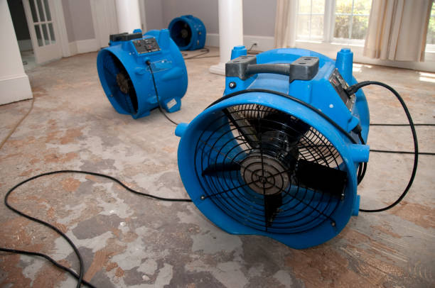 Trusted Ocean View, DE Water damage restoration Experts