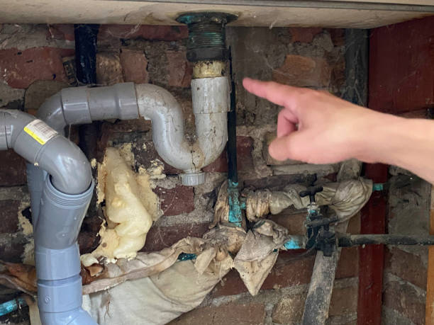 Professional Water damage restoration in Ocean View, DE