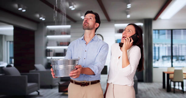 Best Sewage cleanup and water damage restoration  in Ocean View, DE