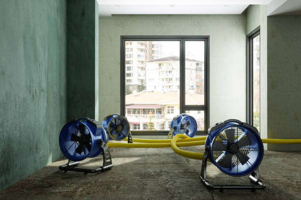 Best Water damage contractors near me  in Ocean View, DE